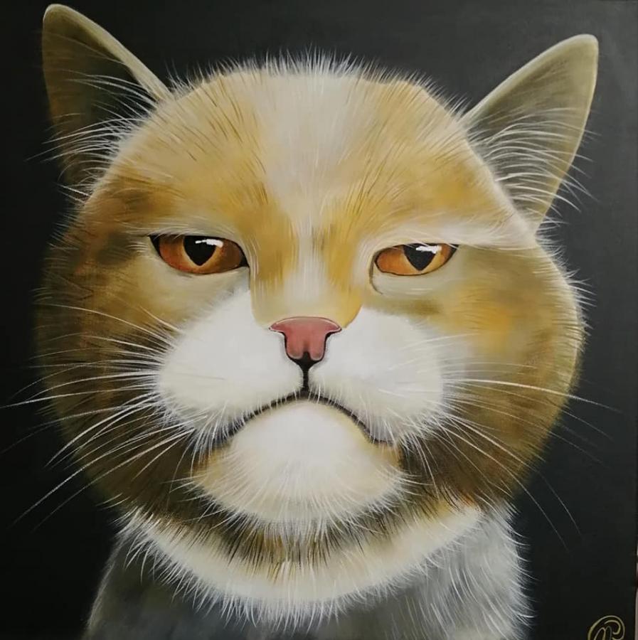 Le chat pas content - La P'tite Galerie - Saint Gervais les Bains